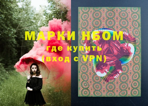 ПСИЛОЦИБИНОВЫЕ ГРИБЫ Каменка