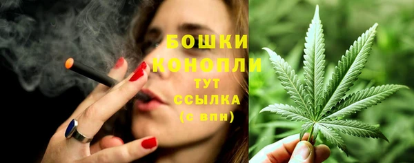 спиды Касимов